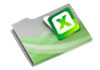 EXCEL format